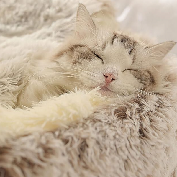 Warm Hooded Nest Bed for Cats & Dogs – Plush Fleece Comfort for Small Pets