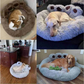 Cozy Paw Shaped Dog & Cat Bed – Soft Plush Comfort Non-Slip Bottom