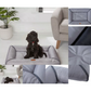 Premium Chunky Edge Pet Bed | Anti-Slip & Easy Care for Dogs & Cats
