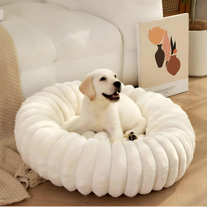 A Warm, Cozy, and Stylish Resting Space for Cats and Small Dogs