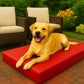 Heavy Duty Waterproof Dog Bed – Durable Puppy Crate Mattress